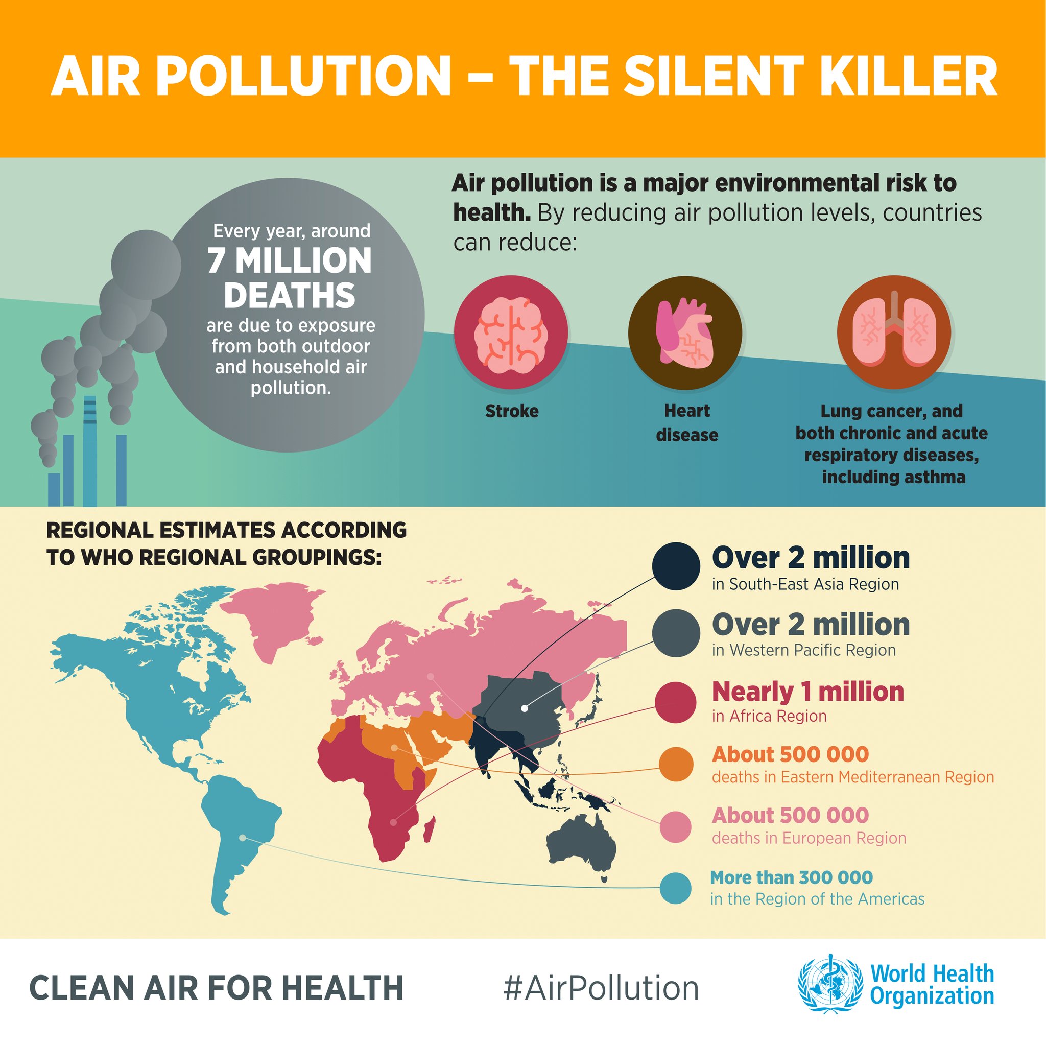 Effects Of Pollution On Human Health In Points